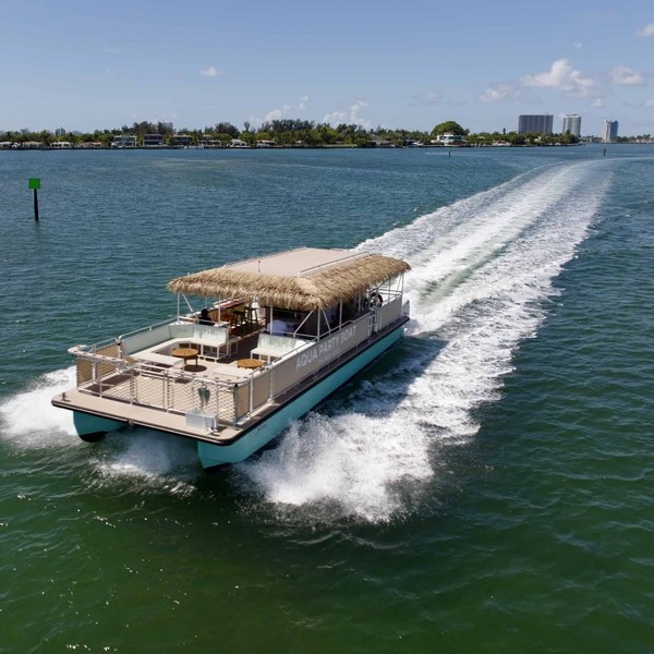 Aqua Party Boat's Foxsea tiki pontoon aerial view